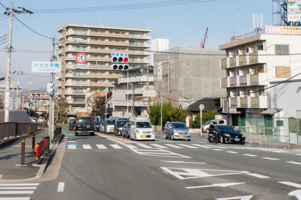 七夕伝説にも出てくる かささぎ橋の かささぎ ってなに ひらかたクイズ 枚方つーしん