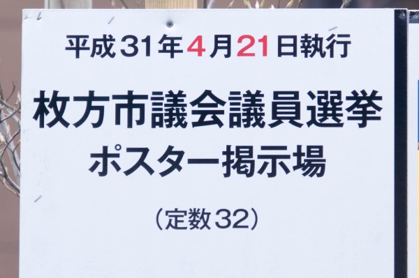 選挙 交野 市議会 議員