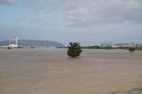 台風18号で淀川河川公園が完全に水没 簡易事務所みたいなのが逆さになって浮いてる 枚方つーしん