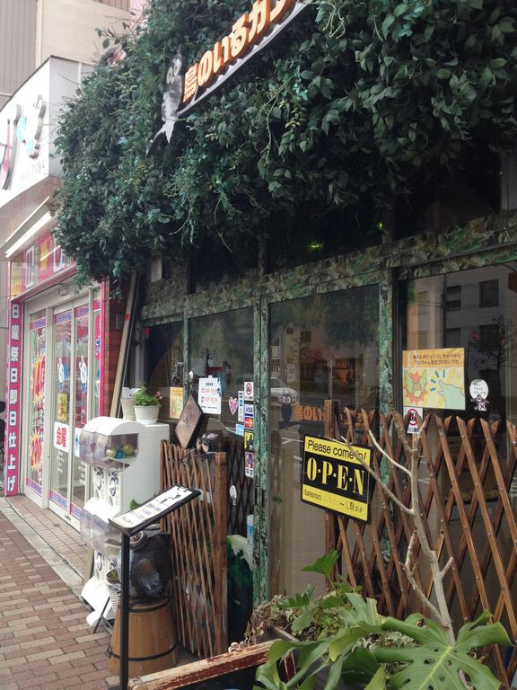 東京 木場 鳥のいるカフェ 行ってきました ふくろうとインコと鷹と フクロウカフェ２軒目 Hiro田のblog