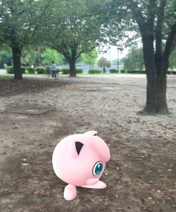 ポケモンgo ポケモンの巣 配置転換で 景色が変わった 清澄庭園 木場公園 Hiro田のblog