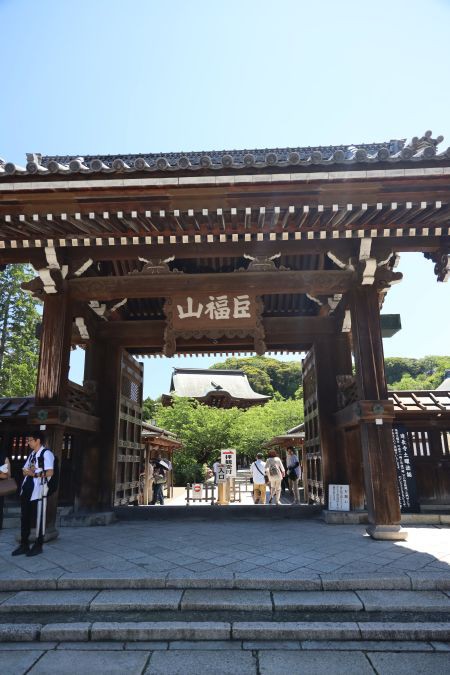 あじさい 建長寺 ただいまテスト中