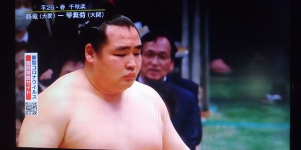 鶴竜親方 相撲人生の振り返り 夏場所中日より ルードの森