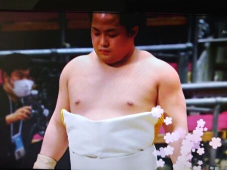 翠富士の新十両紹介 春場所3日目 その1 ルードの森