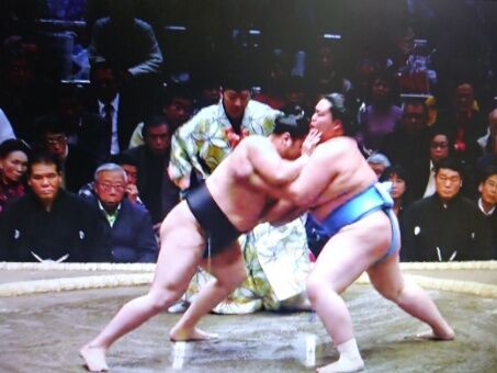 照強が撒く塩は1 1キロです V 初場所２日目 その２ ルードの森