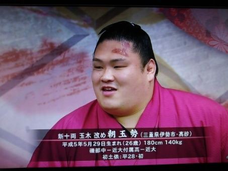 新十両インタビュー 朝玉勢 魁勝 秋場所 ルードの森