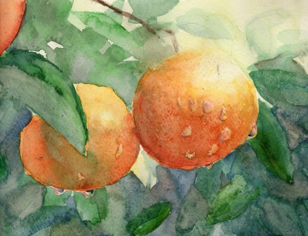 みかん 夢色彩々 水彩画 スケッチ帳