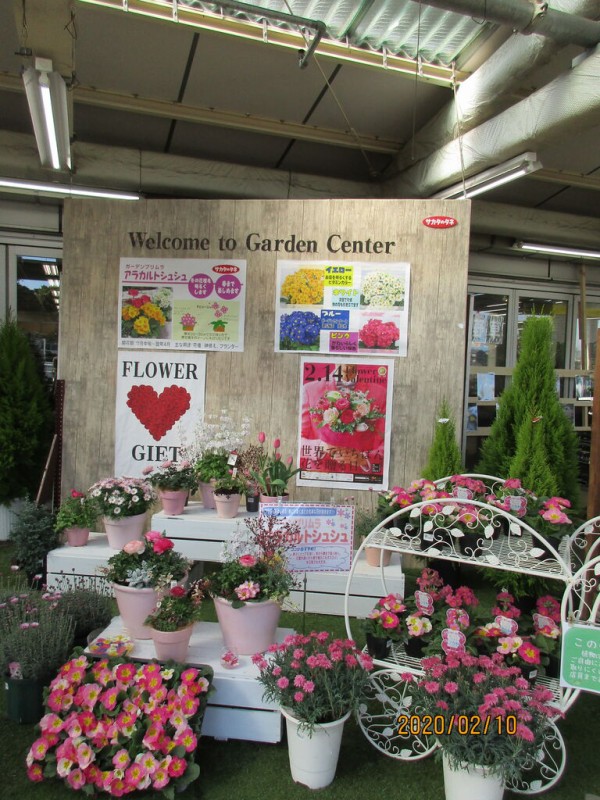 サカタのタネガーデンセンター横浜 農業13年目 現役農大生farmer