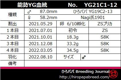 能勢YG】2021年度羽化報告 : ひろパパ BreedingJournal