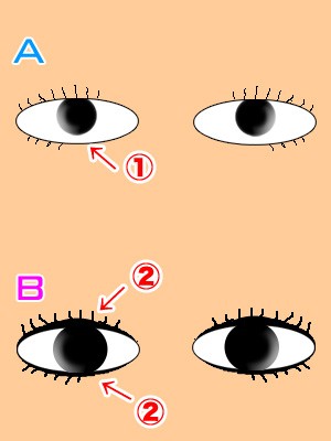 図解 黒目がち話 ひろぽす日記