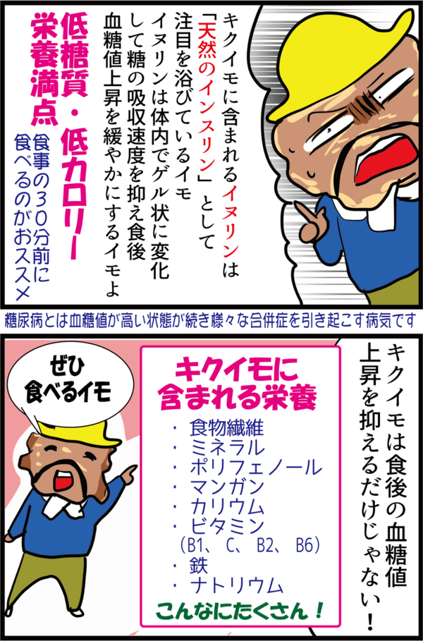 神食材 食後の血糖値上昇を抑える新たな天然のインスリンが登場 うちの夫が糖尿病になっちゃった 食と血糖値 漫画ブログ Powered By ライブドアブログ