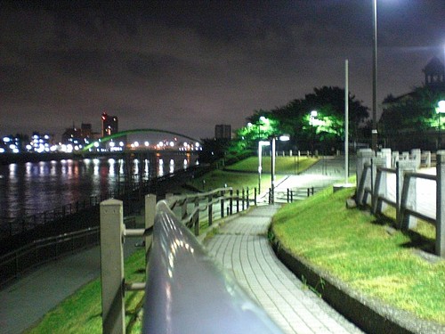 へちべぇ 隅田川上流 あらかわ遊園裏土手 へちべぇ 夜釣りの釣り