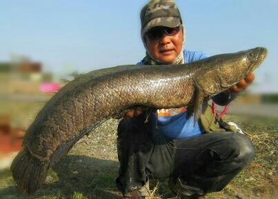 雷魚 夏の終わり～ラストまで！その2 : 生涯の幸せのために！