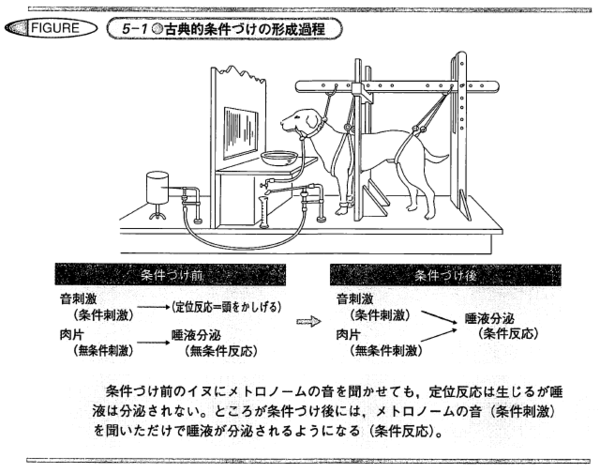 未完成 基礎心理学 4 方法論 研究デザイン 等に関する12問 註 問題6の途中までしか書いていない 追記は謎 ねことひるね