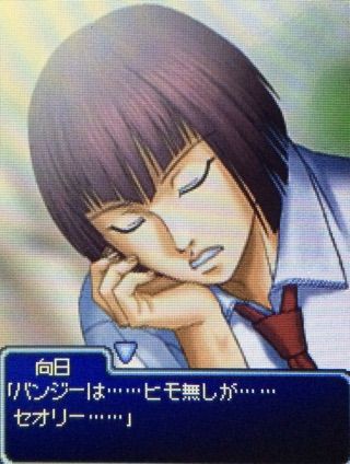 もっと学園祭の王子様【向日岳人】 : お久しぶりですテニスの王子様