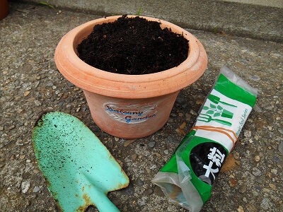 鉢と土 ヒサトわーるど21