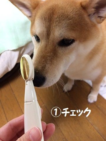 足裏をカットする ハサミ選び 柴犬なつき取扱説明書