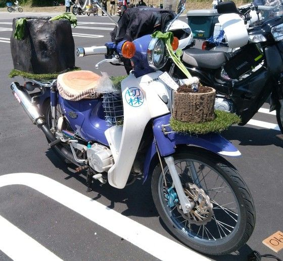 切り株ノブゾーの野暮な野望 日々是 旧 クロスカブ