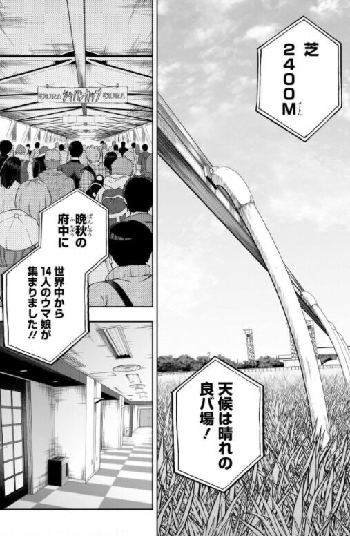 ウマ娘シンデレラグレイ第51話感想 ジャパンカップ開幕 タマの後ろ姿は完全に主人公 主役はわたしの筈なんだが Fate雑記 士凛特化 あるふぁ