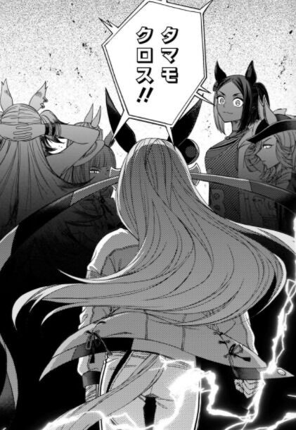 ウマ娘シンデレラグレイ第51話感想 ジャパンカップ開幕 タマの後ろ姿は完全に主人公 主役はわたしの筈なんだが Fate雑記 士凛特化 あるふぁ