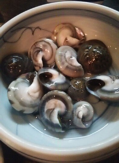 ながらみ 千葉市 初めて出された綺麗な巻貝 マイケルオズの あの町この味 ひとり旅 ながらみ 千葉市 初めて出された綺麗な巻貝 マイケルオズの あの町この味 ひとり旅