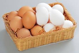 たまごの殻は白と茶色で何が違うのか 雑学日記