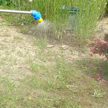 除草剤のよく効く使い方と種類 ハウスクリーニングとホームメンテナンスサービス施工の足跡