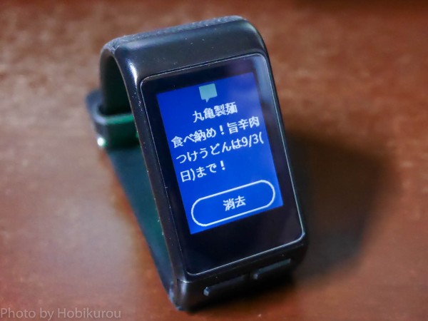 ガーミンスマートウォッチ『VIVOACTIVE J HR』購入＆レビュー : 隠れ