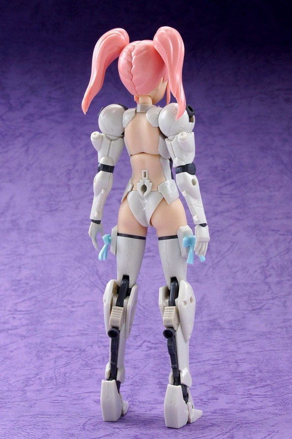 フレームアームズ・ガール 白虎 製作01 開封～パチ組み開始