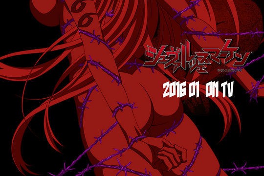 マブラヴオルタネイティヴスピンオフ シュヴァルツェスマーケン のtvアニメが16年1月より放送開始 こーのーどちゃかてきんl 立体版