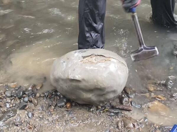 北海道化石採集記 2023年雨のあとの大物!? : ほっほ:いしと 北海道化石採集記 2023年雨のあとの大物!? : ほっほ:いしと