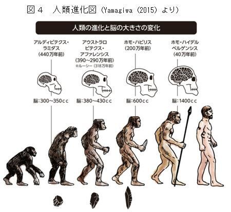 縄文ノート87 人類進化図の５つの間違い の紹介 帆人の古代史メモ