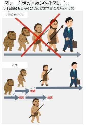 縄文ノート87 人類進化図の５つの間違い の紹介 帆人の古代史メモ