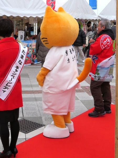 タマにゃん 北摂百貨天 ご当地キャラ展示室 タマにゃん 北摂百貨天 ご当地キャラ展示室