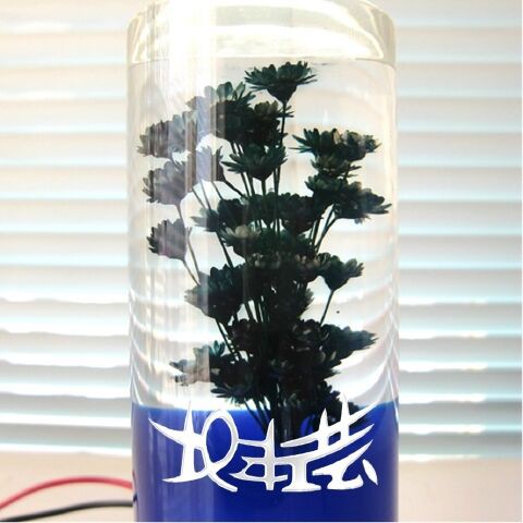 ゴールドキング 水中花 : 北海道旭川市 北斗工芸