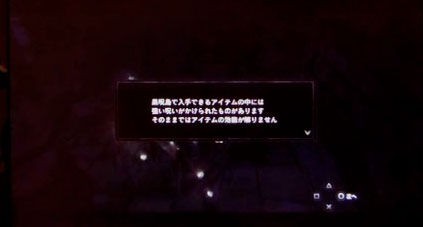 ドラゴンズドグマ ダークアリズン プレイ日記 1 続 イドの日記