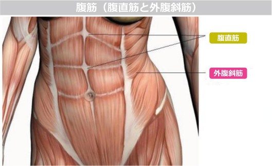 ヘッドスピードアップに有効な筋トレ W Holdme33のブログ