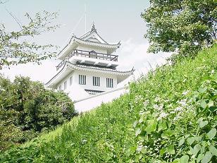 常滑の隠れスポット発見 大野城へ行く ホリサンの房総 里山発見伝