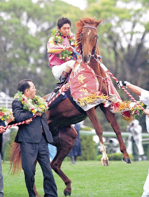 競馬 テイエムオペラオー死す ｇ１ ７勝馬 ２２歳 心臓マヒで ターフ速報 競馬まとめ