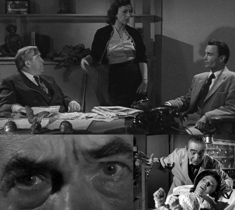 怪物の花嫁 Rock N Horror