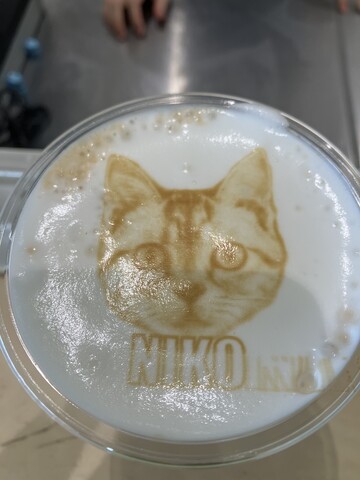 週記 八王子旧遊郭歩きと猫カフェ 22 07 18 07 24 Tonjisanのブログ 週記 八王子旧遊郭歩きと猫カフェ 22 07 18 07 24 Tonjisanのブログ