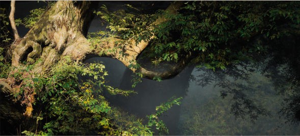 3つの個性-表現の可能性を探る- 五味文彦、大畑稔浩、島村信之 : 美術