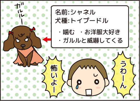 犬嫌いになった理由と母の心配 ほわわん子育て絵日記 Powered By ライブドアブログ