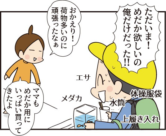 メダカが我が家にやってくる 一番必要だったもの ほわわん子育て絵日記 Powered By ライブドアブログ