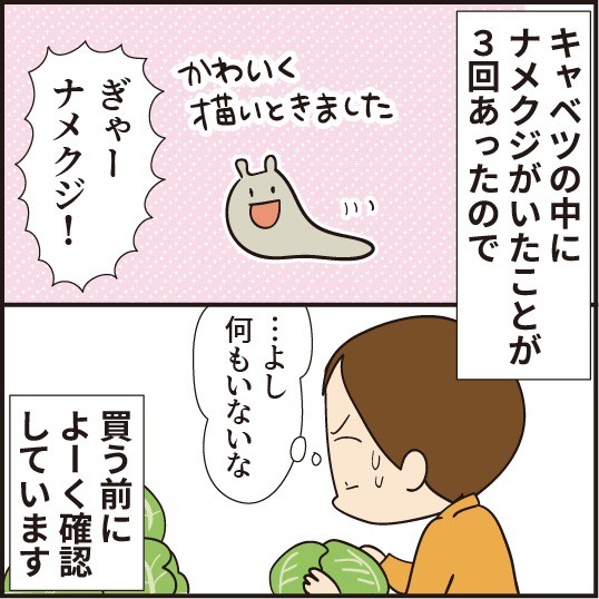 虫嫌いの私が選ぶキャベツの中にいたもの ほわわん子育て絵日記 Powered By ライブドアブログ