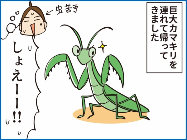 小１長男がつけた カマキリの名前 がすごかった ほわわん子育て絵日記 Powered By ライブドアブログ