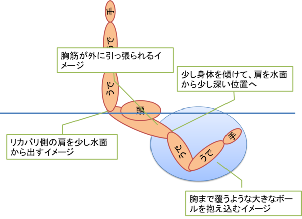 背泳ぎの泳ぎ方 腕のかき方 ストロークの中上級編 1かきで2回進む How To Swim