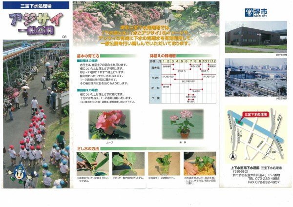 堺市三宝下水処理場の紫陽花 箸休め Ryokutyaの山行備忘録