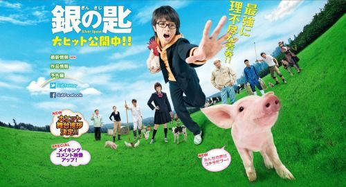 銀の匙 Silver Spoon効果 ボーダーコリー マリンと一緒 リボン そしてチェリー