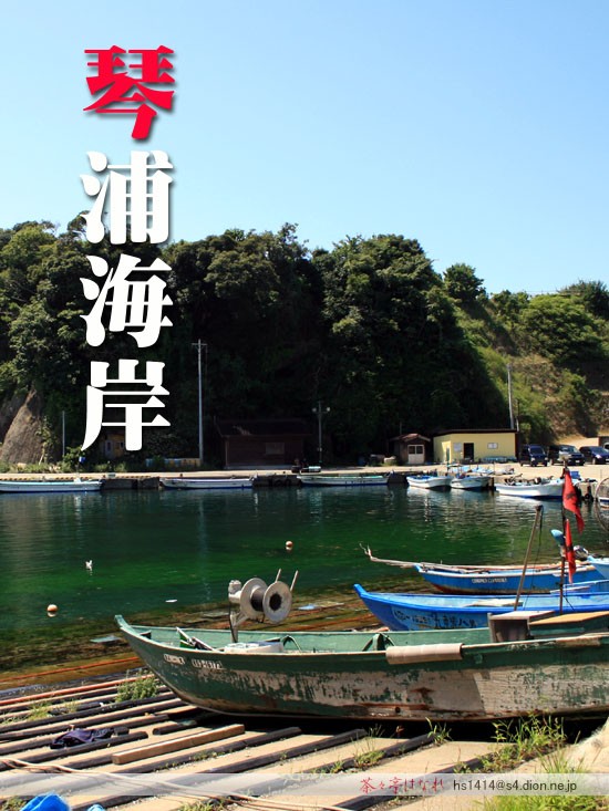 佐渡 琴浦海岸 茶々亭はなれ
